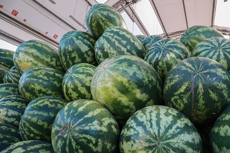    Сергей Булкин/NEWS.ru