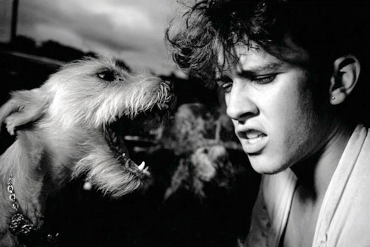 Гипертимный шизоид — сочетание двух противоположных черт