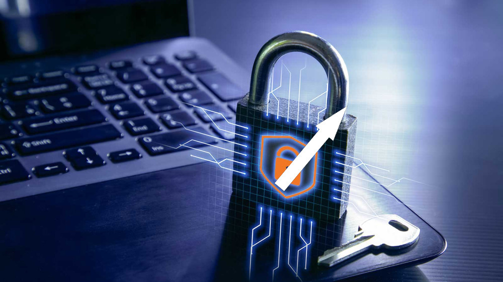    Как хакеры опустошают бюджеты соцзащиты и почему это касается каждого