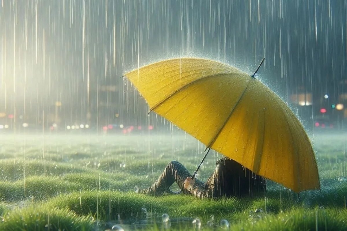    В Новосибирске в августе ожидаются дожди, похолодание и заморозки