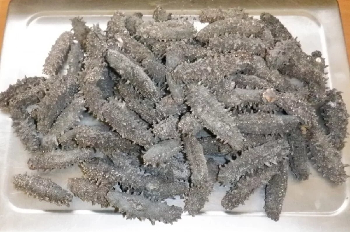    Суд взыскал с жителя Приморья 75 миллионов рублей за контрабанду трепанга