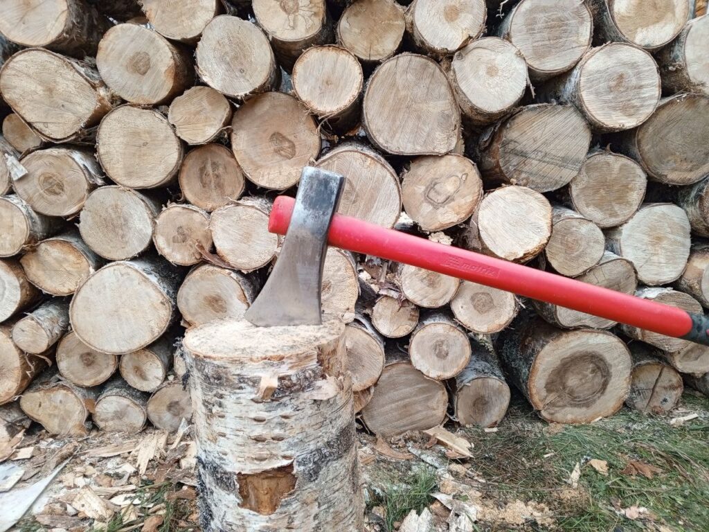    Фото: В курсе.ру Полина Анкушина