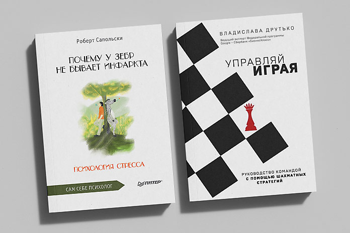    Иллюстрация: мокап