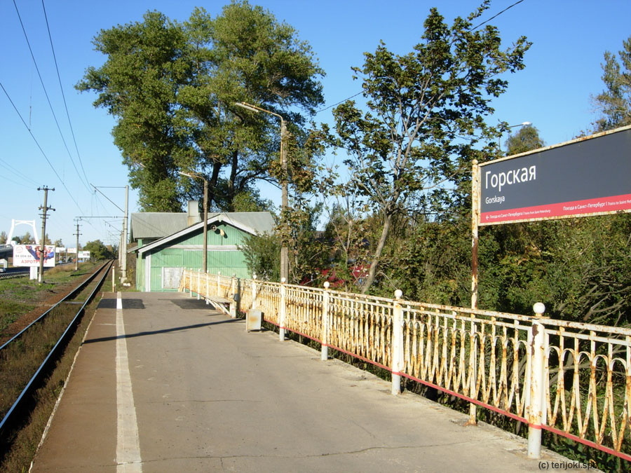 Горская. Вид с пассажирской платформы в сторону Александровской. Фото: Д. Верёвкин, 12.10.2015