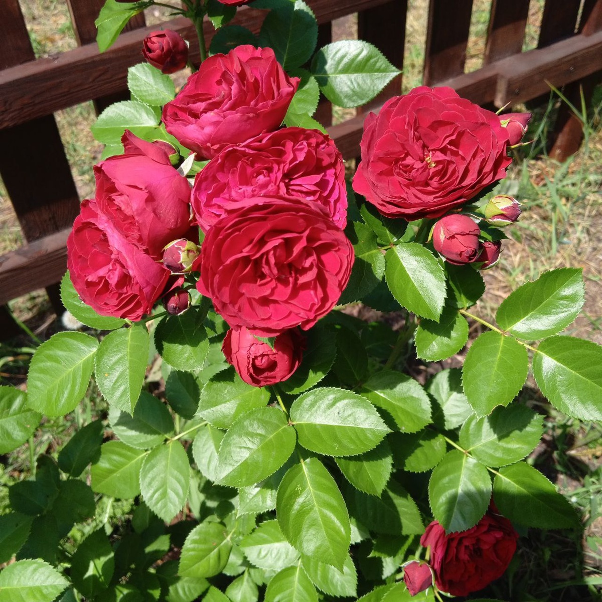 Фото автора.