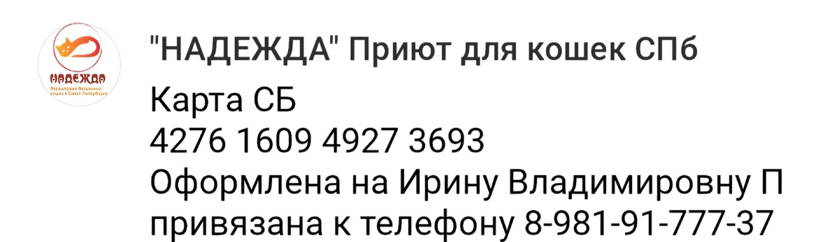 Реквизиты приюта 