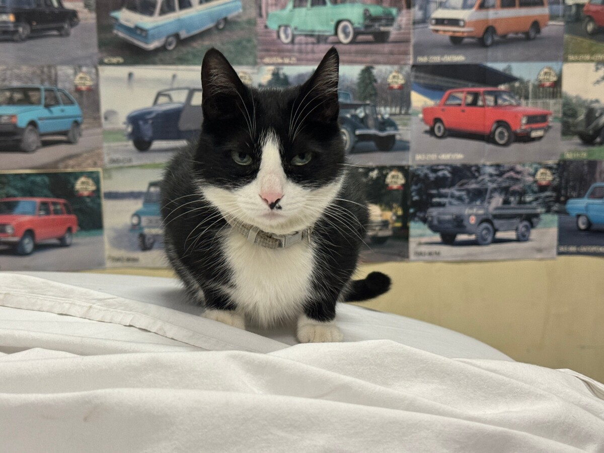 Фото: МТРК «Мир»/Михаил Робакидзе