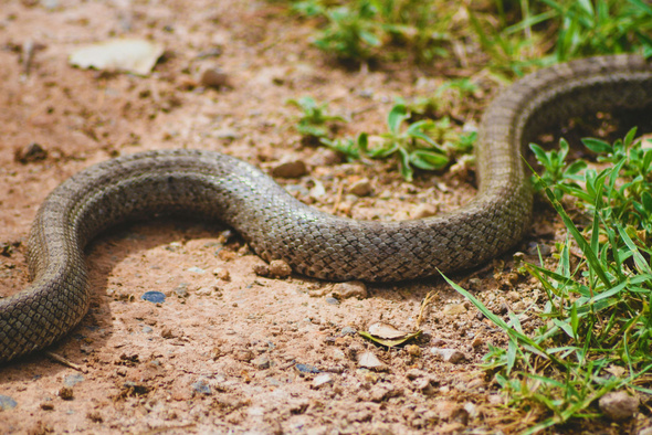     Zach Tilford/Unsplash