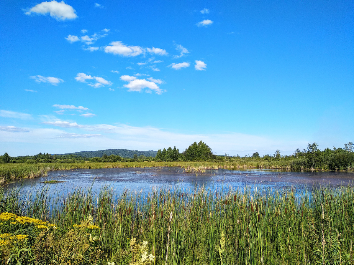 красиво ведь