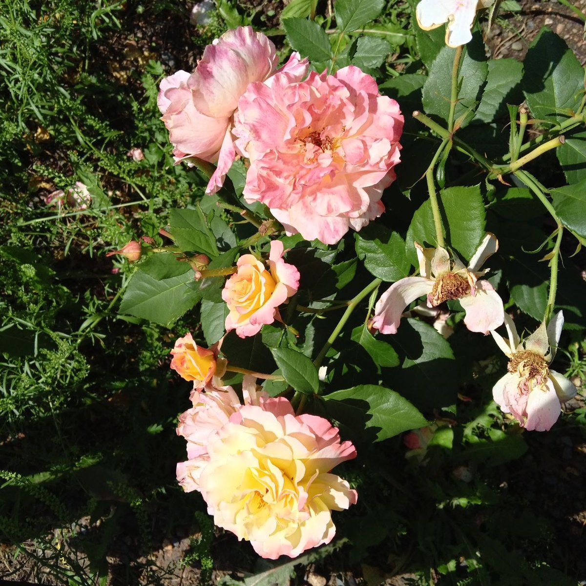 Фото автора.