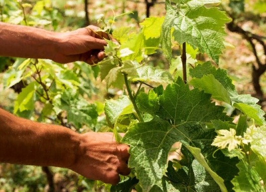    Фото: freepik.com/ wirestock Анфиса Слепцова