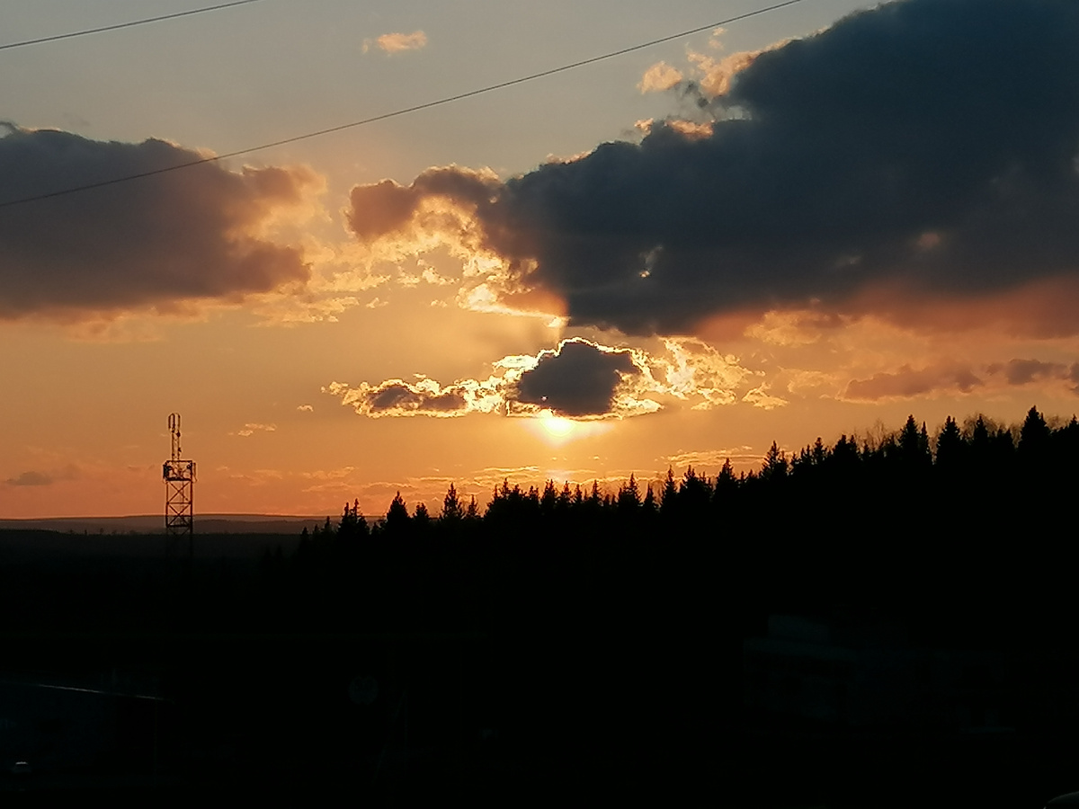 Фото автора. Для разбавления текста