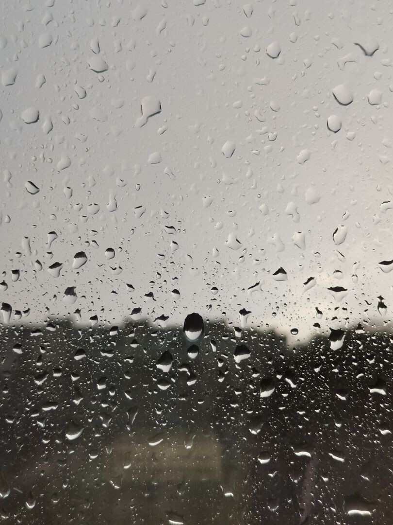    Дождь / Источник: Наталия Николаева © ИА REGNUM