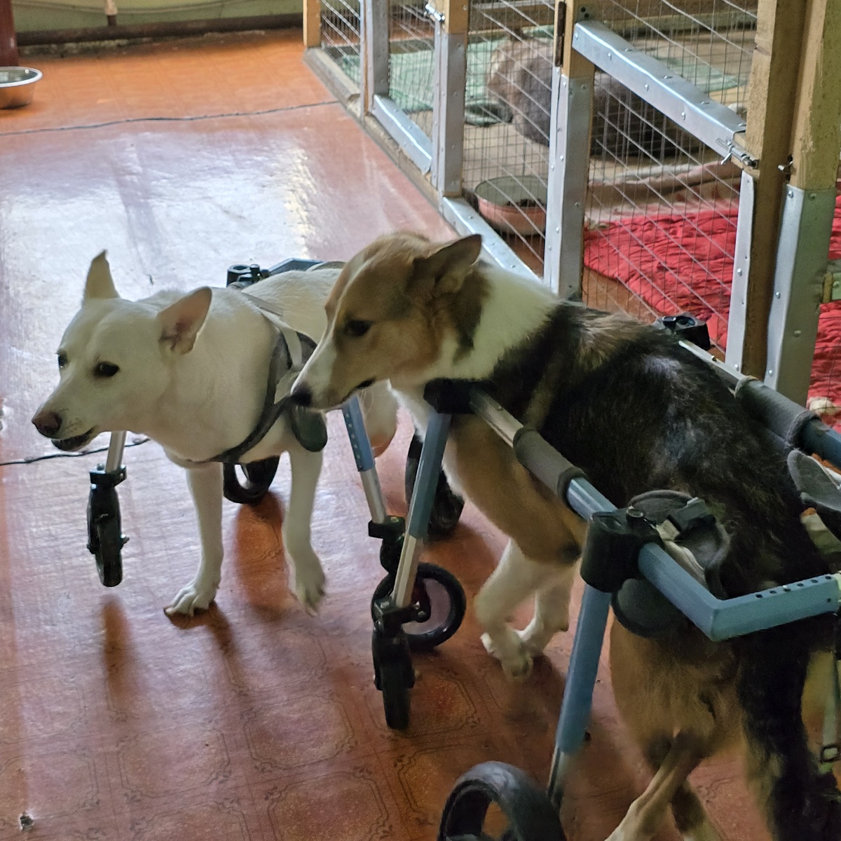 полные надежды глаза, вера в завтрашний день