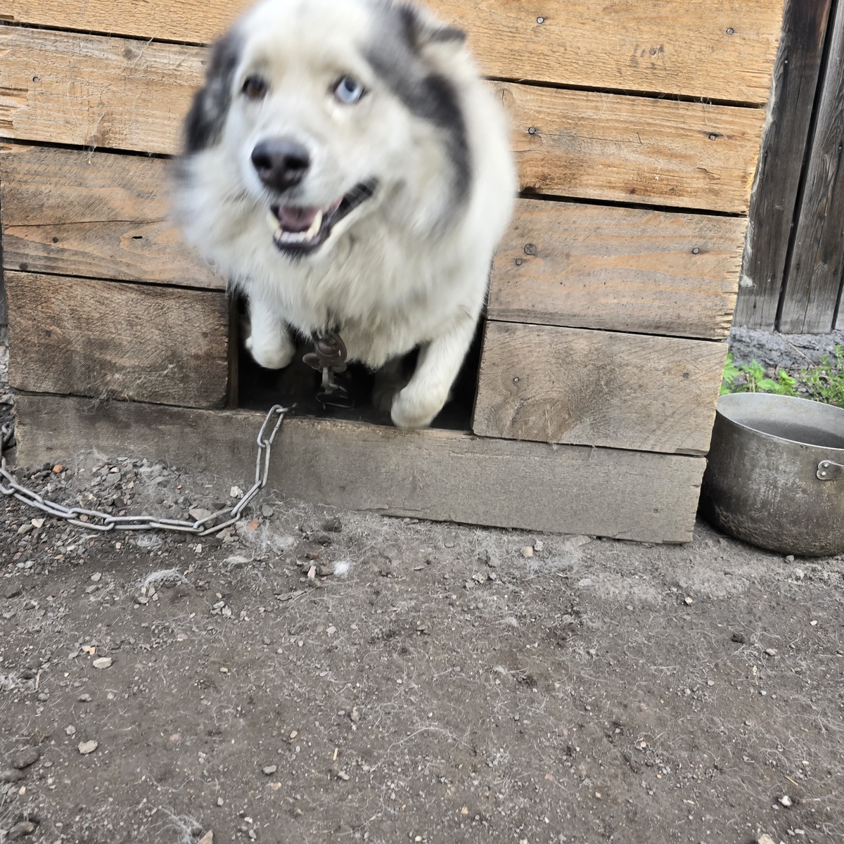 счастливая улыбка несмотря ни на что