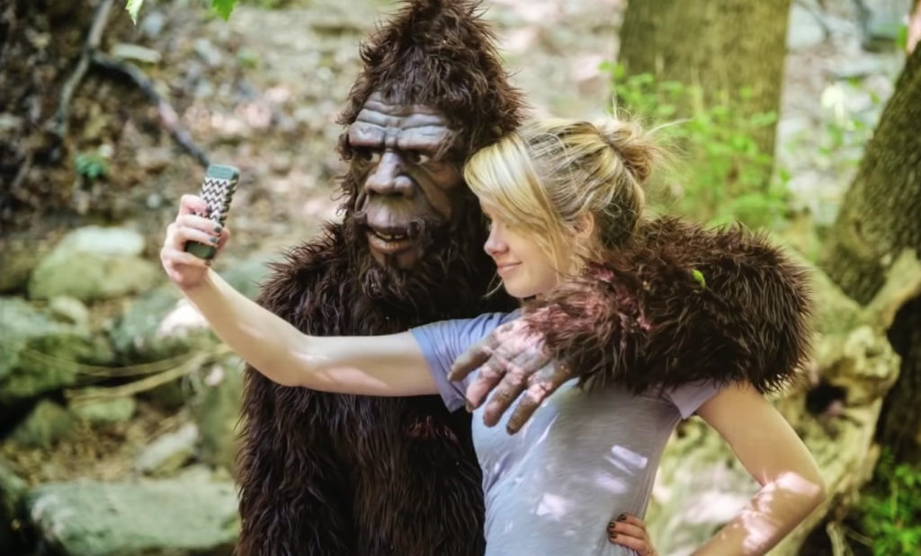 фото в свободном доступе из открытого источника