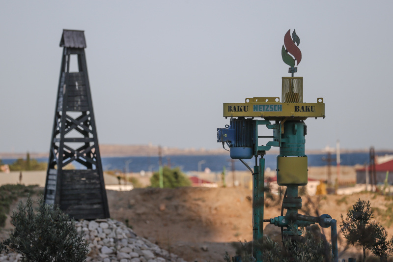    Фото: Bulkin Sergey/Globallookpress