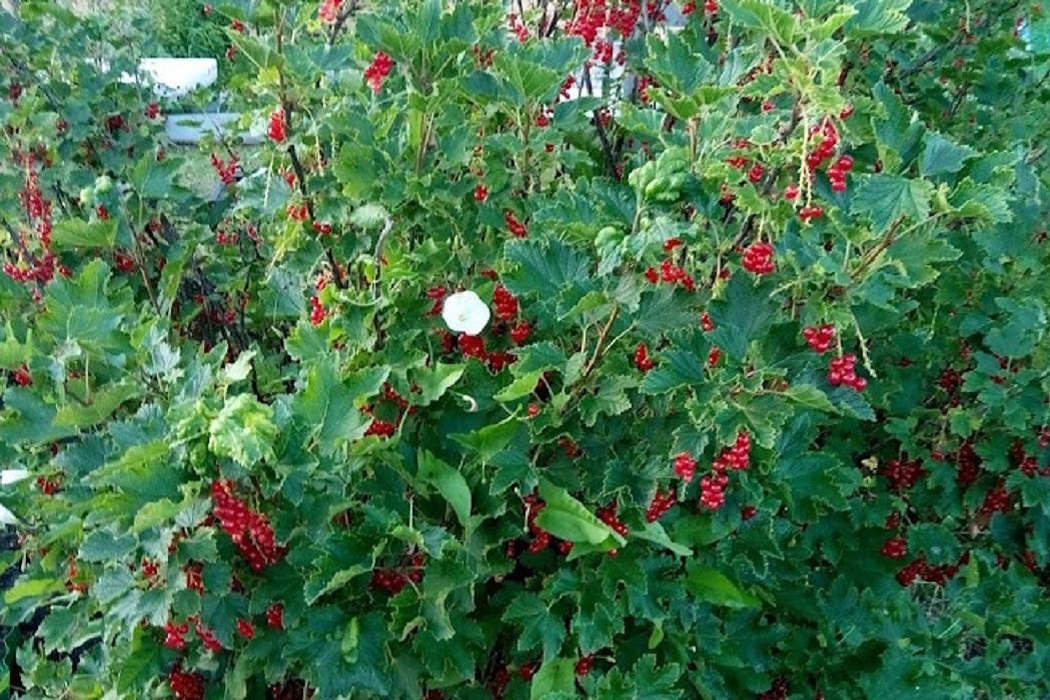    Фото: пресс-служба Свердловского областного суда