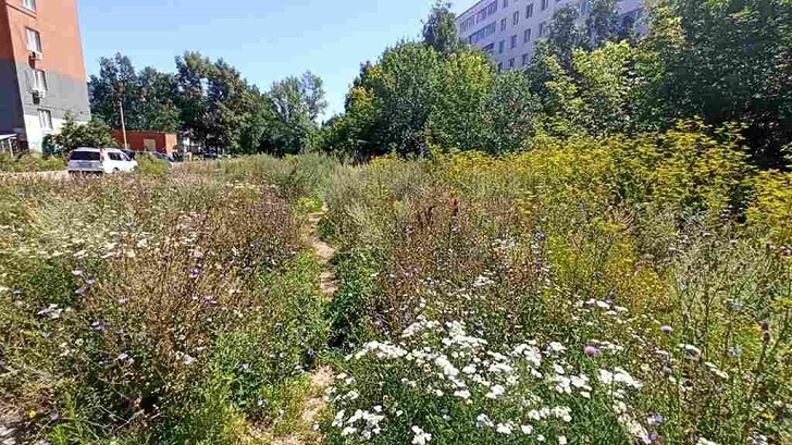    Фото под постом на официальной странице Радия Хабирова