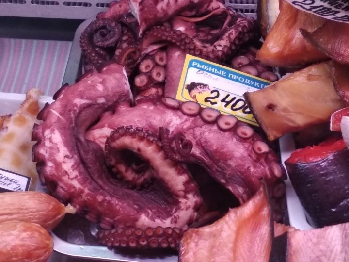    Фото:Ирина Климченко