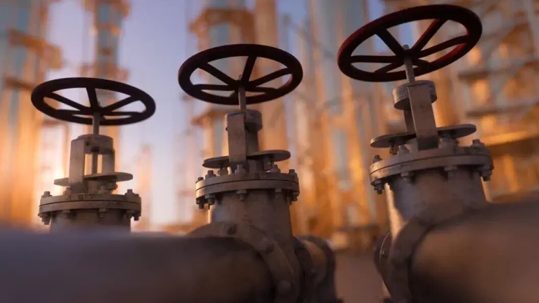    Фото: Shutterstock