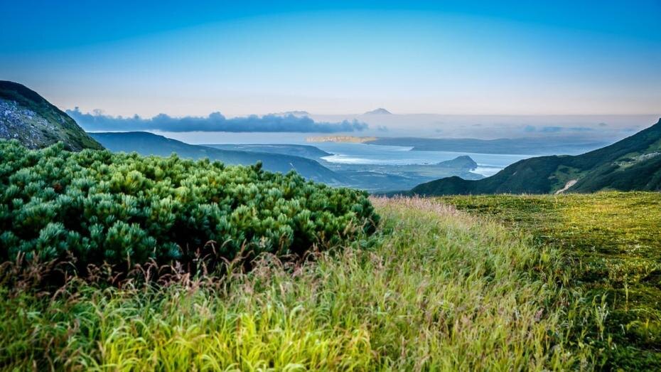    MFA Russia/Global Look Press