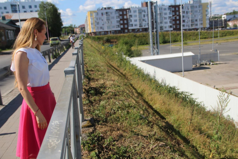    Спикер Дрейзис одолела "шипастые дудки" борщевика в ПетрозаводскеНадежда Дрейзис / ВК