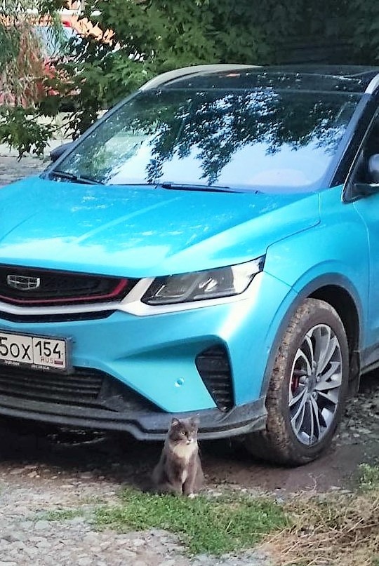 Фото пока в архиве автора