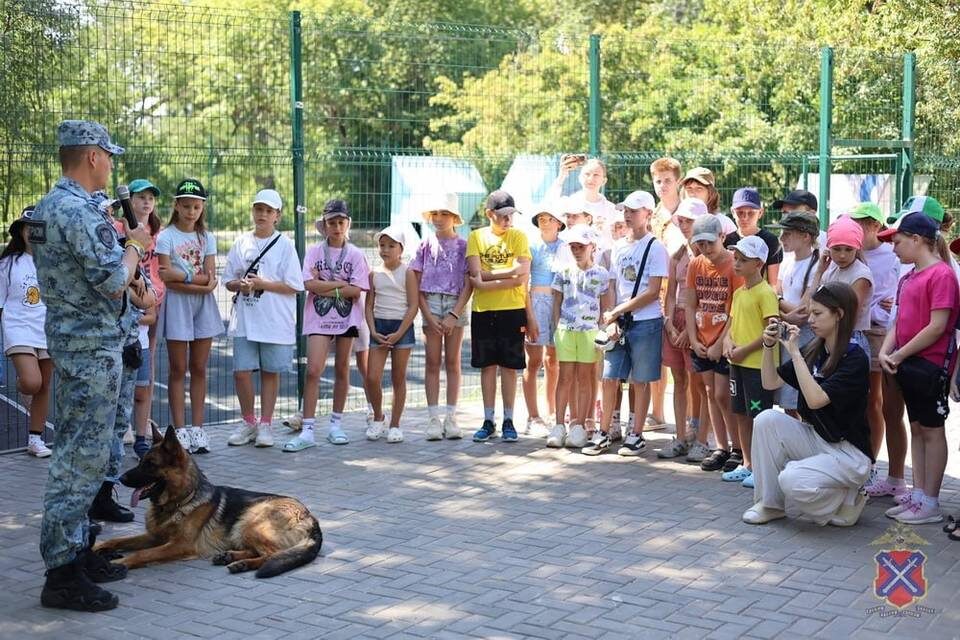    Фото: ГУ МВД России по Волгоградской области