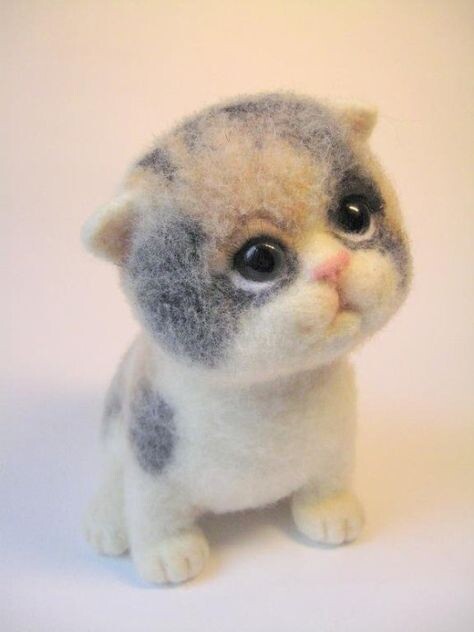 Вот, такие милые котики, например😍