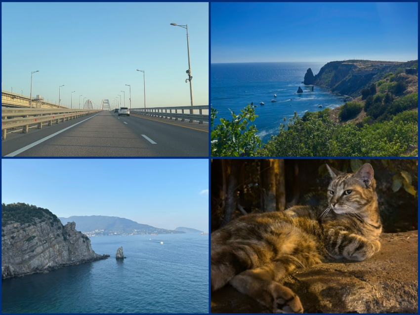 Фото: читательница «Блокнота Краснодар"