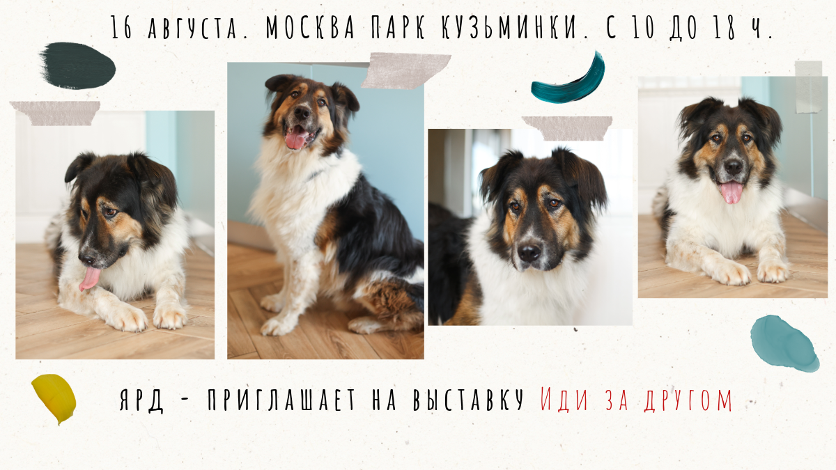 Ярд участник выставки 16 августа Москва Парк Кузьминки