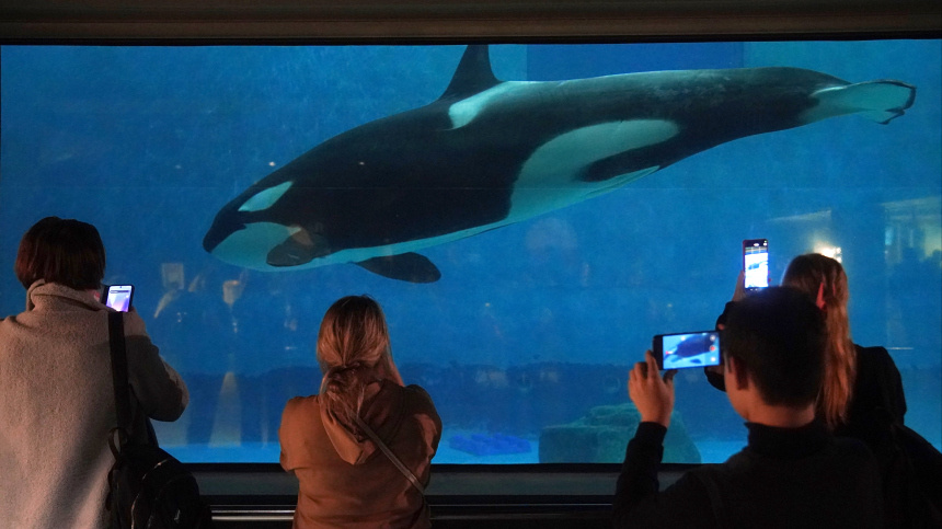    Фото: ИЗВЕСТИЯ/Эдуард Корниенко