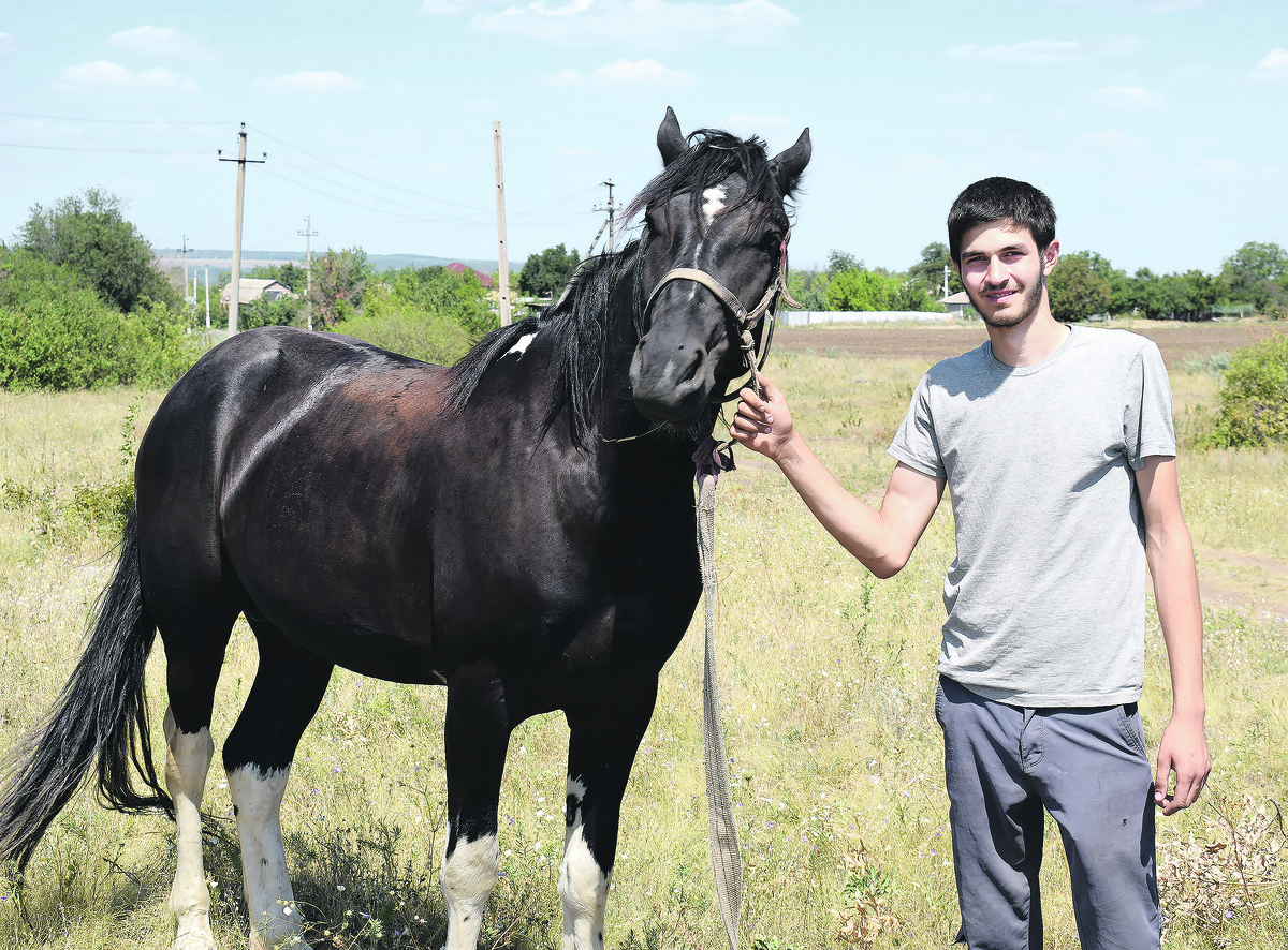 Иван Ковтуненко и его верный четвероногий друг, конь Монах, понимают друг друга с полувзгляда.