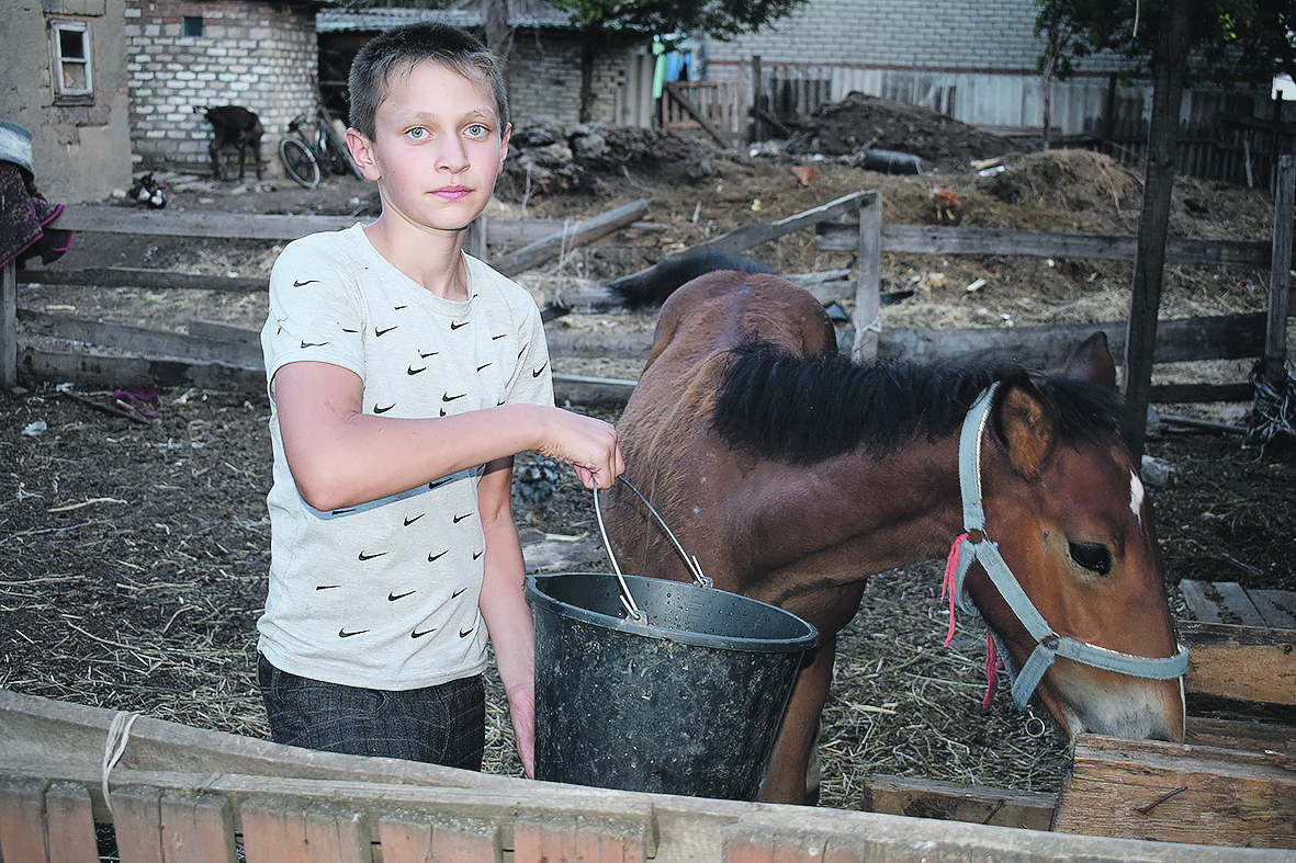 Брат Ивана – Петя тоже всегда рядом с лошадьми. Его любимец Туман рад вниманию.
