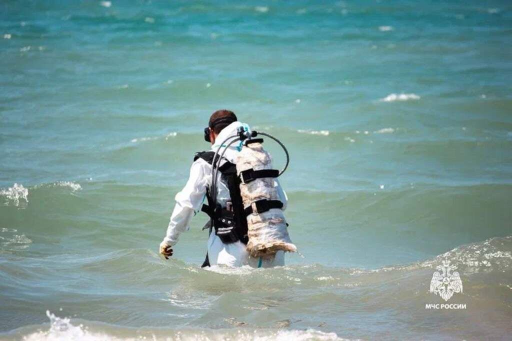    Фото МЧС РО admin