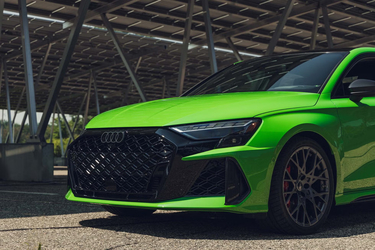 Передняя часть крупным планом