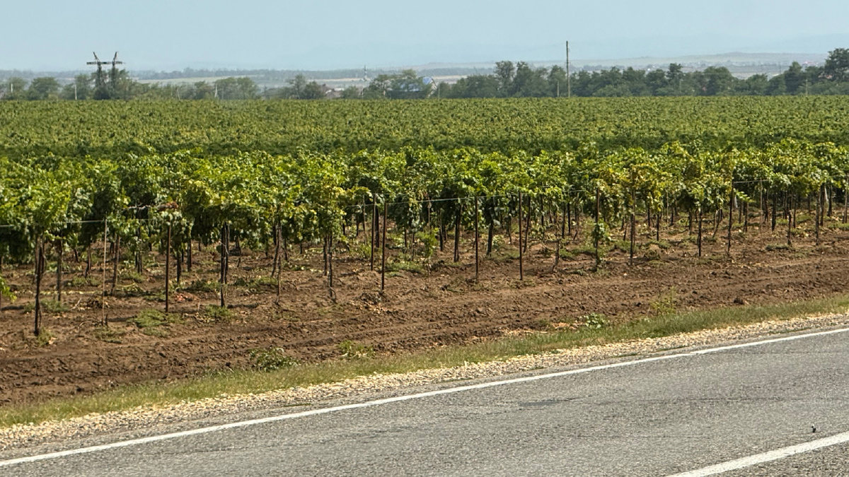 А вот такой вид обочины очень даже привлекает 