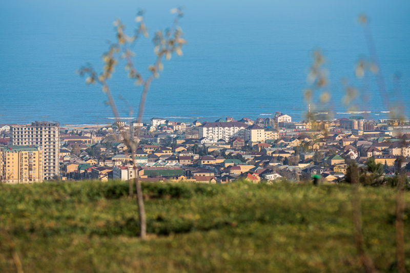    Фото: © Edgar Breshchanov/globallookpress