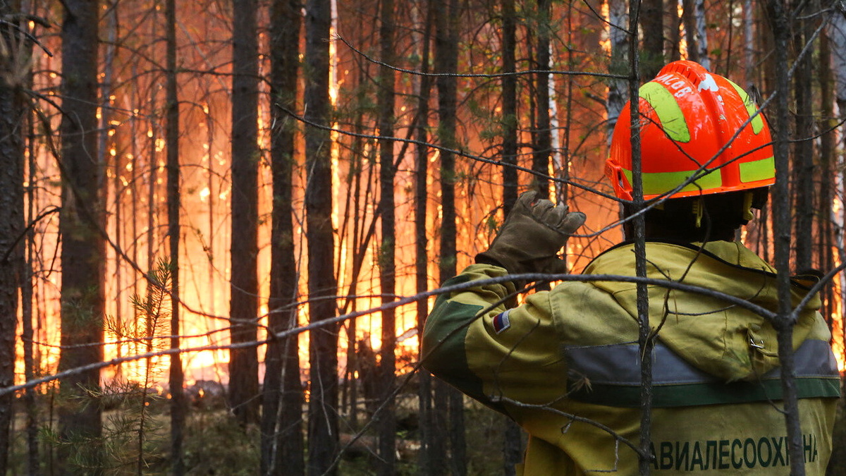   В Югре за сутки потушили 5 лесных пожаров