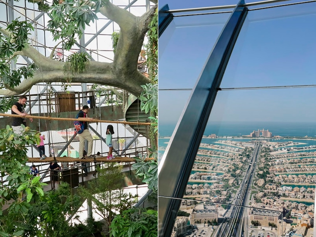 Green Planet + The View at The Palm