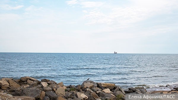     Фото: Елена Афонина/ТАСС   
 Текст: Ирма Каплан