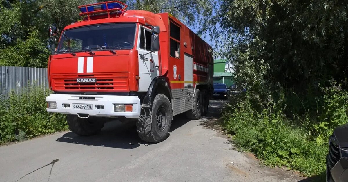 Фото: Артемий Шуматов / Коммерсантъ