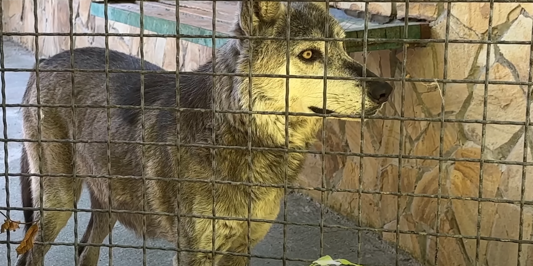 Нарочно не придумаешь, или как меня перепутали с Супергероем из известного фильма.