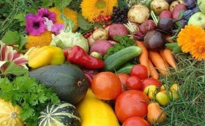 фото взято с яндекс картинки