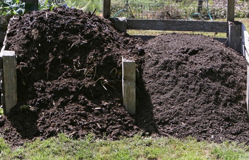 фото взято с яндекс картинки