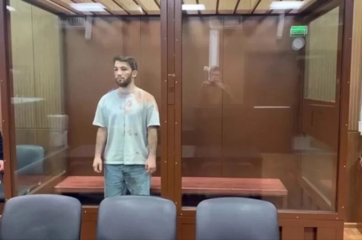    Защита бойца ММА из Чечни, убившего инспектора МАДИ, обжаловала приговор