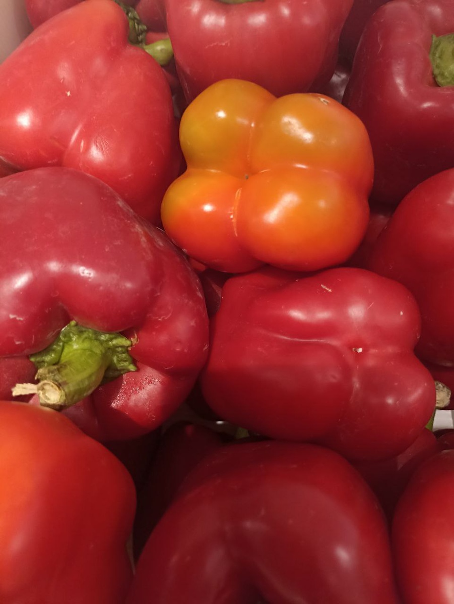 личное фото автора