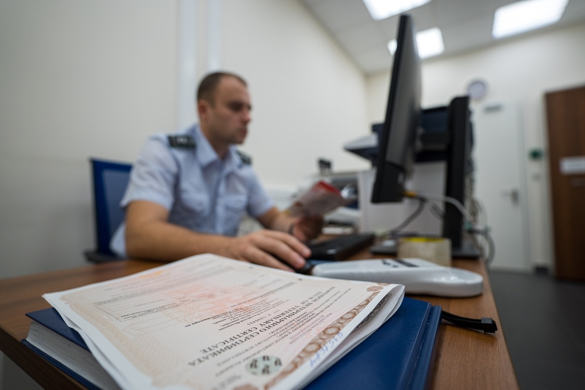 Фото: Александр Плонский / «ВиЖ»