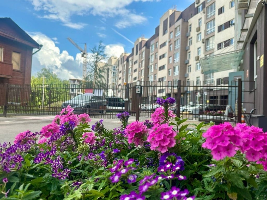 Фото: Анастасия Малышева